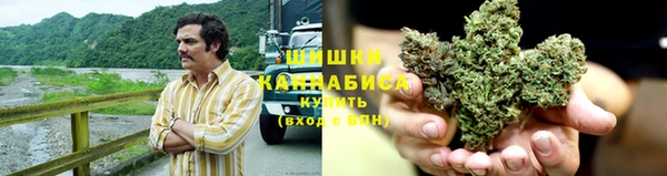 трава Костерёво