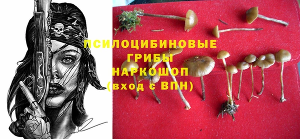 кристаллы Краснослободск